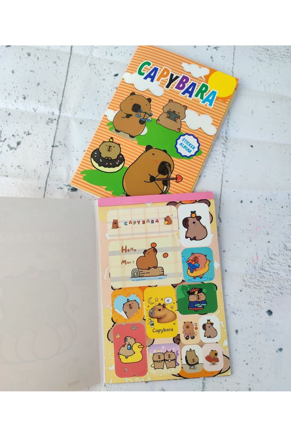 1 ADET Capybara Sticker Albümü 16 Sayfa 208 Adet Sticker