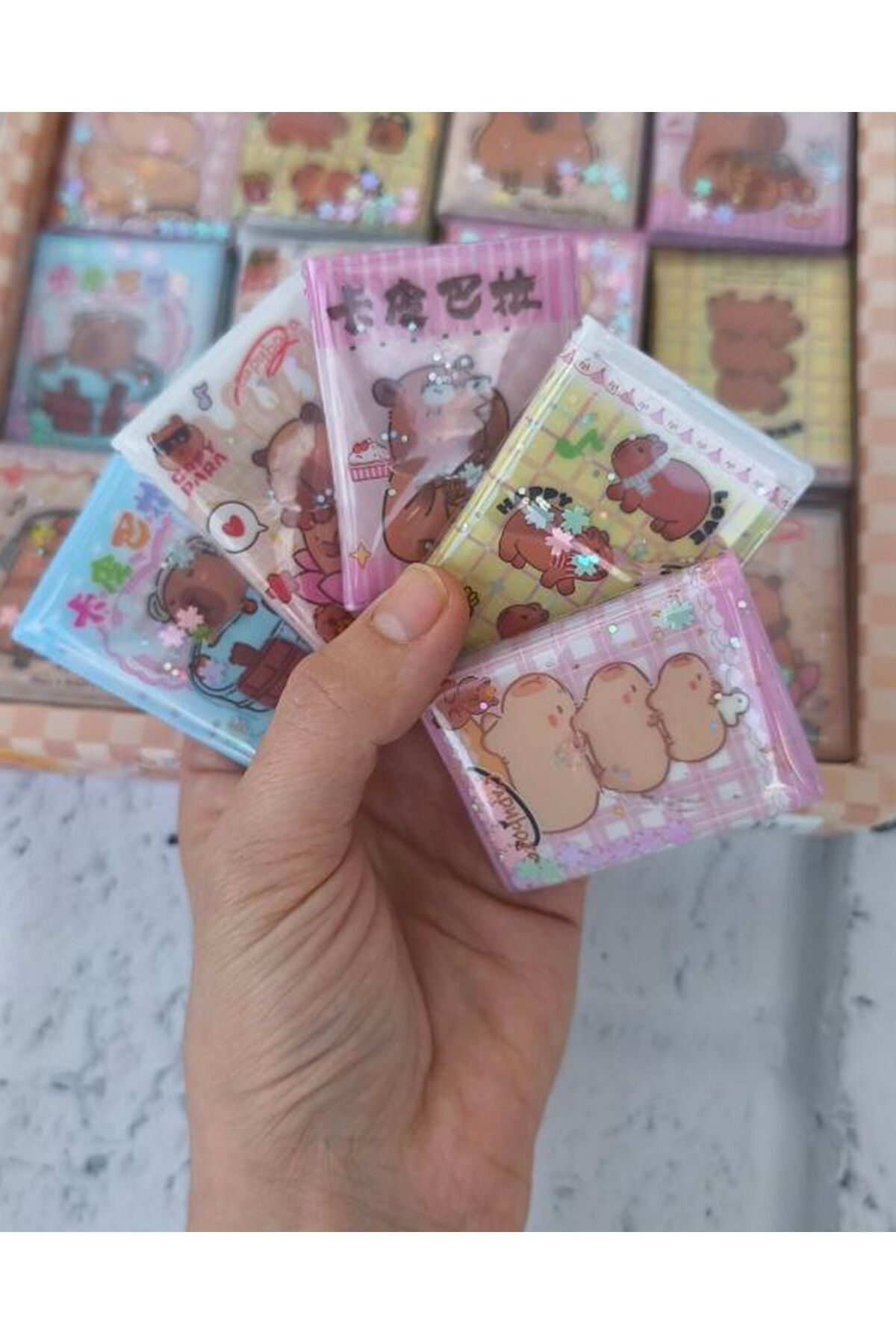 2 li Capybara Sulu Stickerlı Defter