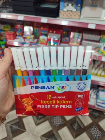 PENSAN 12 RENK KEÇELİ BOYA KALEMİ