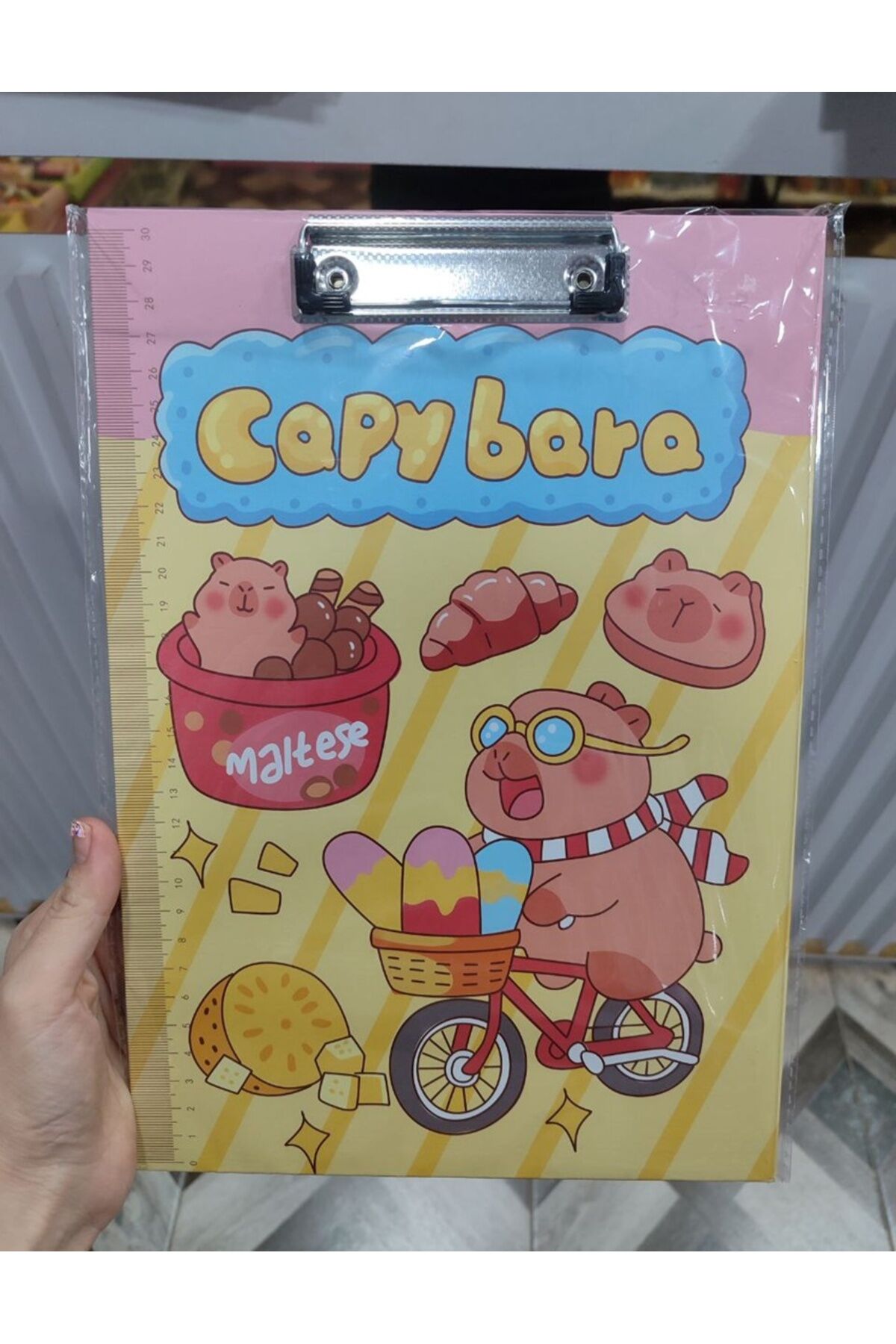  Capybara