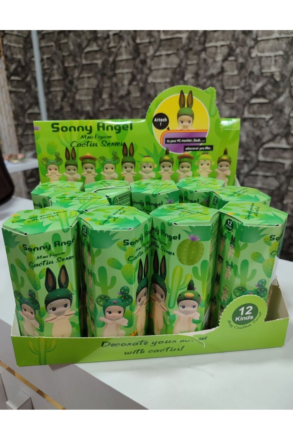 Cackus (Kaktüs) Series Sonny Angel 1 ADET Kapalı Kutu