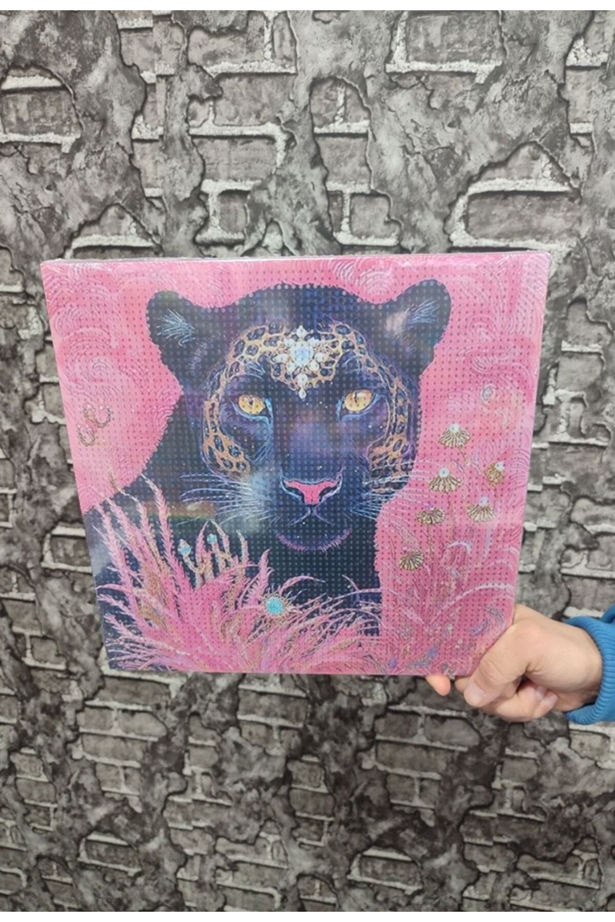 Jaguar Tuval Elmas Dizme Seti 30x30 cm 1 ADET