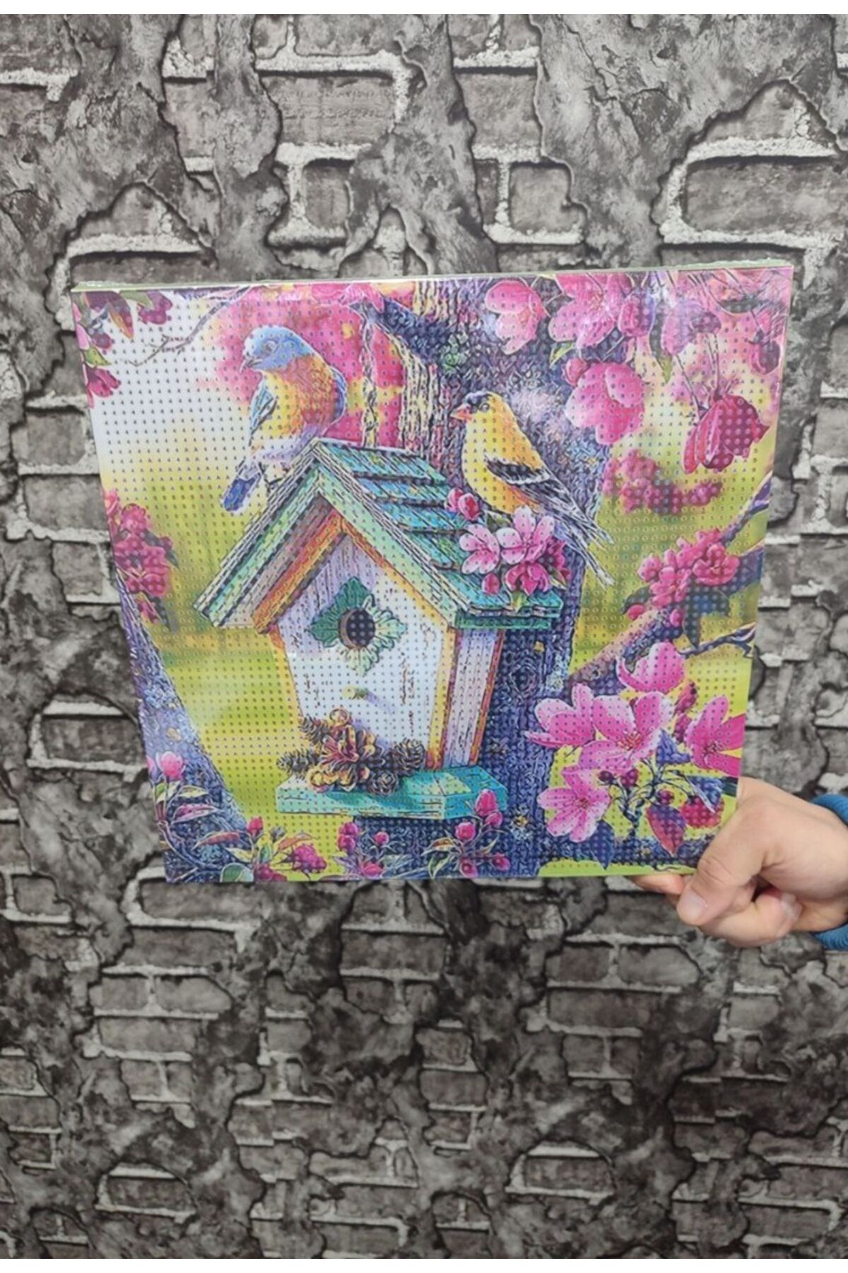 Kanarya Evi Tuval Elmas Dizme Seti 30x30 cm 1 ADET