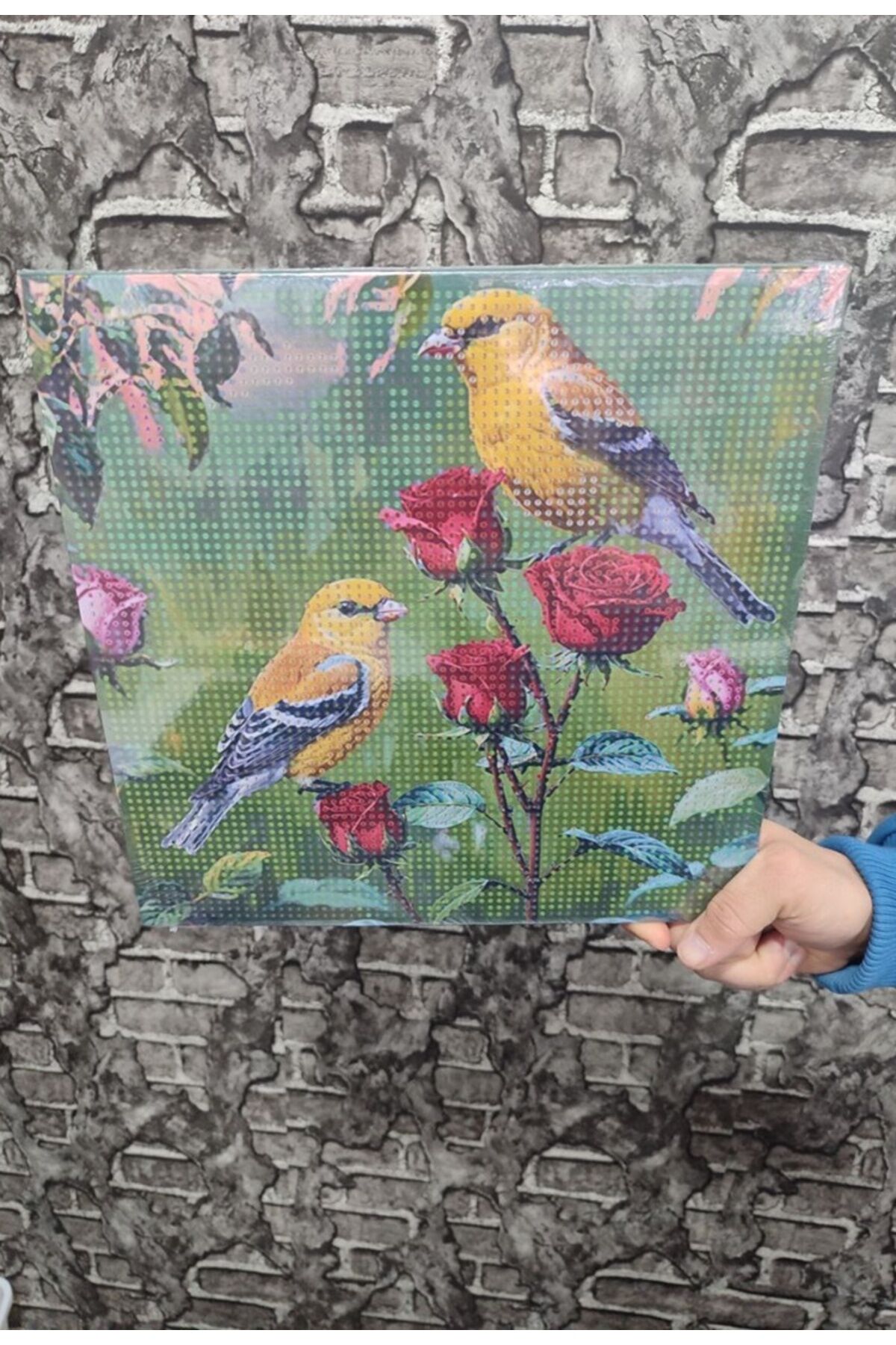 Kanarya Tuval Elmas Dizme Seti 30x30 cm 1 ADET