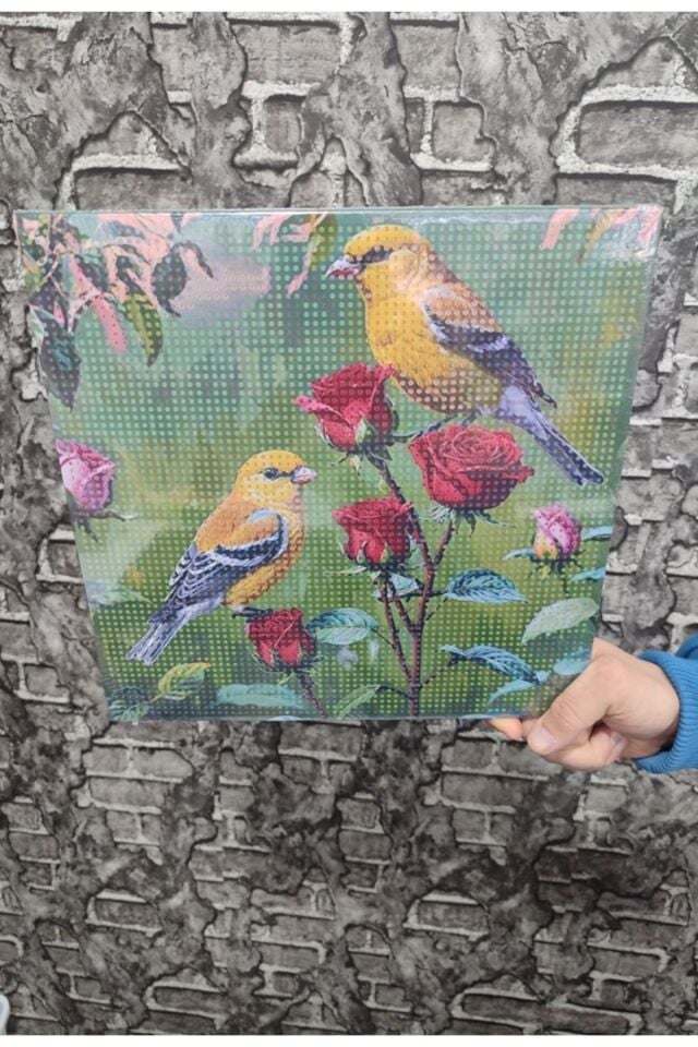 Kanarya Tuval Elmas Dizme Seti 30x30 cm 1 ADET