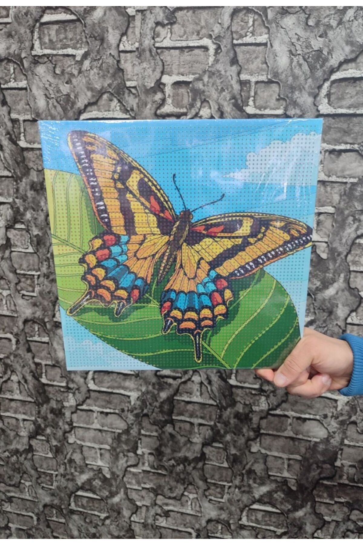 Kelebek Tuval Elmas Dizme Seti 30x30 cm 1 ADET