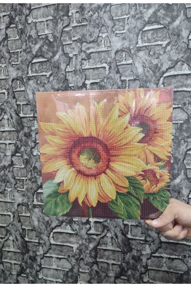 Ayçiçeği Tuval Elmas Dizme Seti 30x30 cm 1 ADET