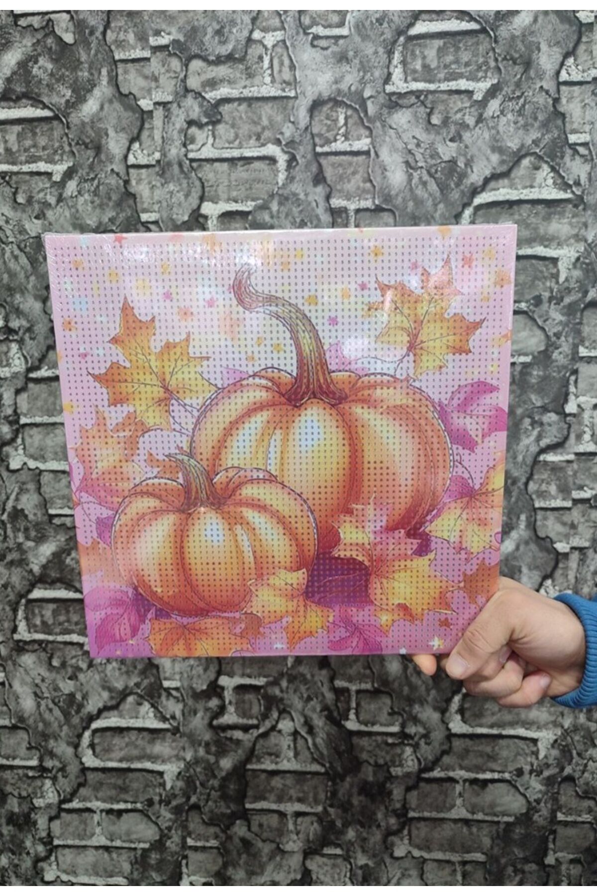 Balkabağı Tuval Elmas Dizme Seti 30x30 cm 1 ADET