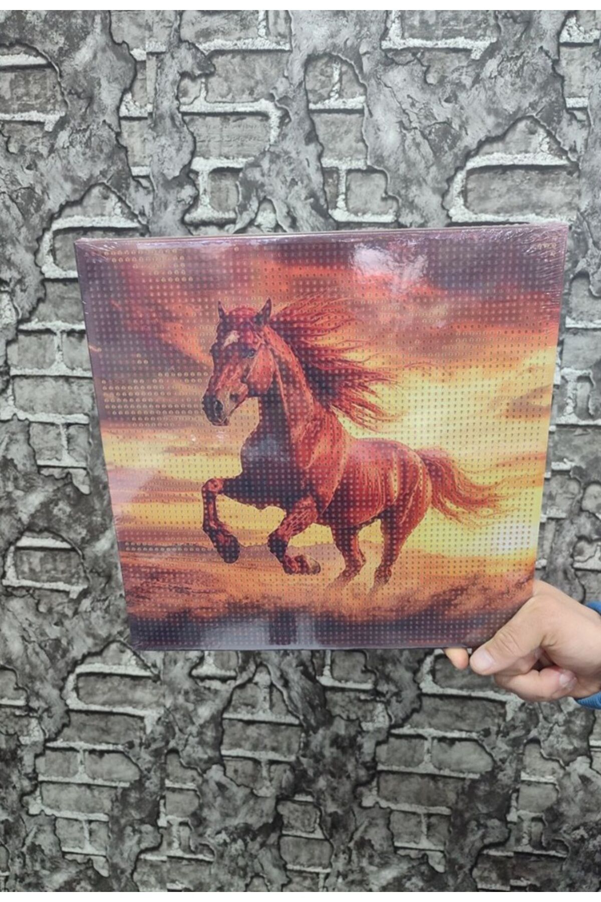 At Tuval Elmas Dizme Seti 30x30 cm 1 ADET