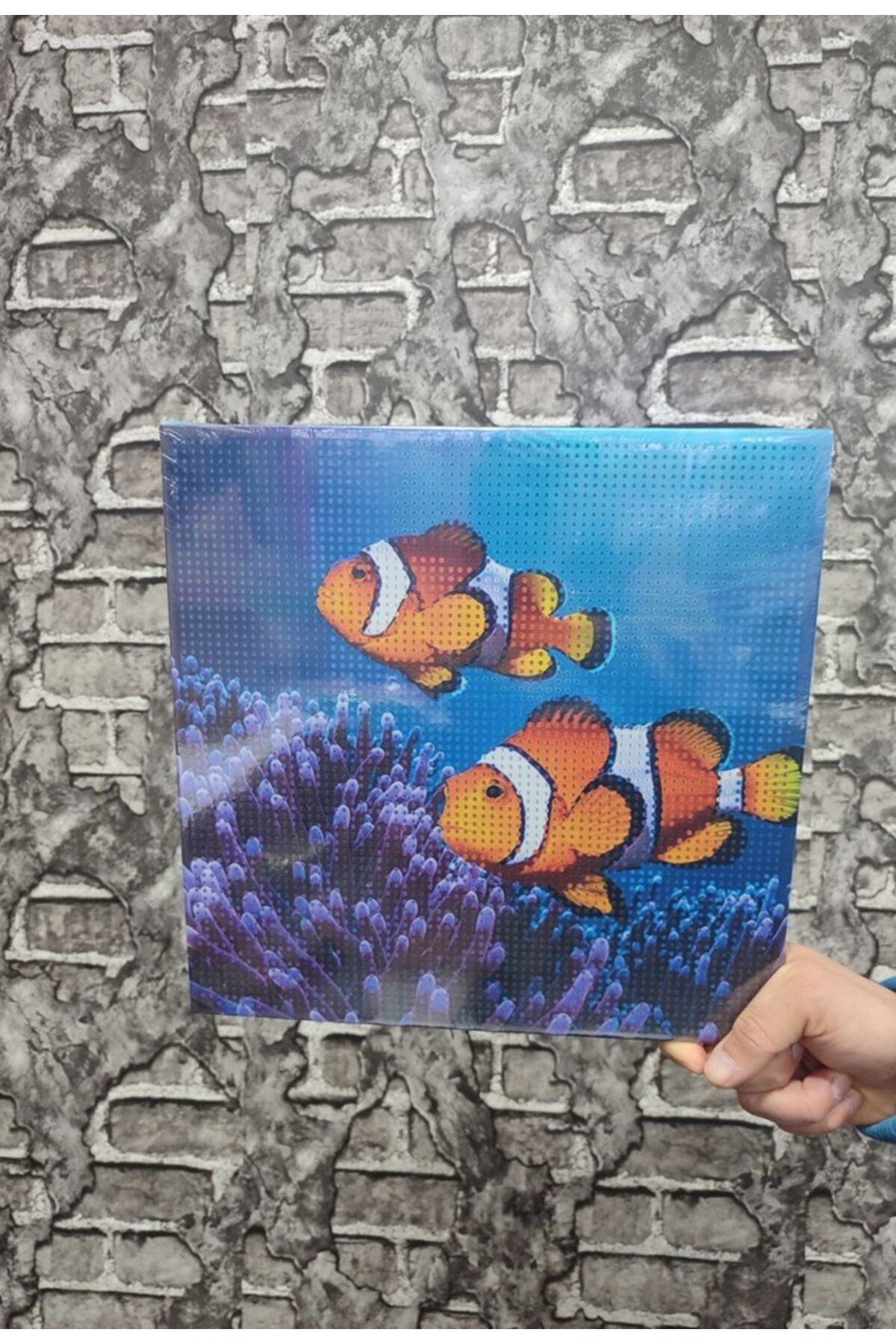 Nemo Balık Tuval Elmas Dizme Seti 30x30 cm 1 ADET