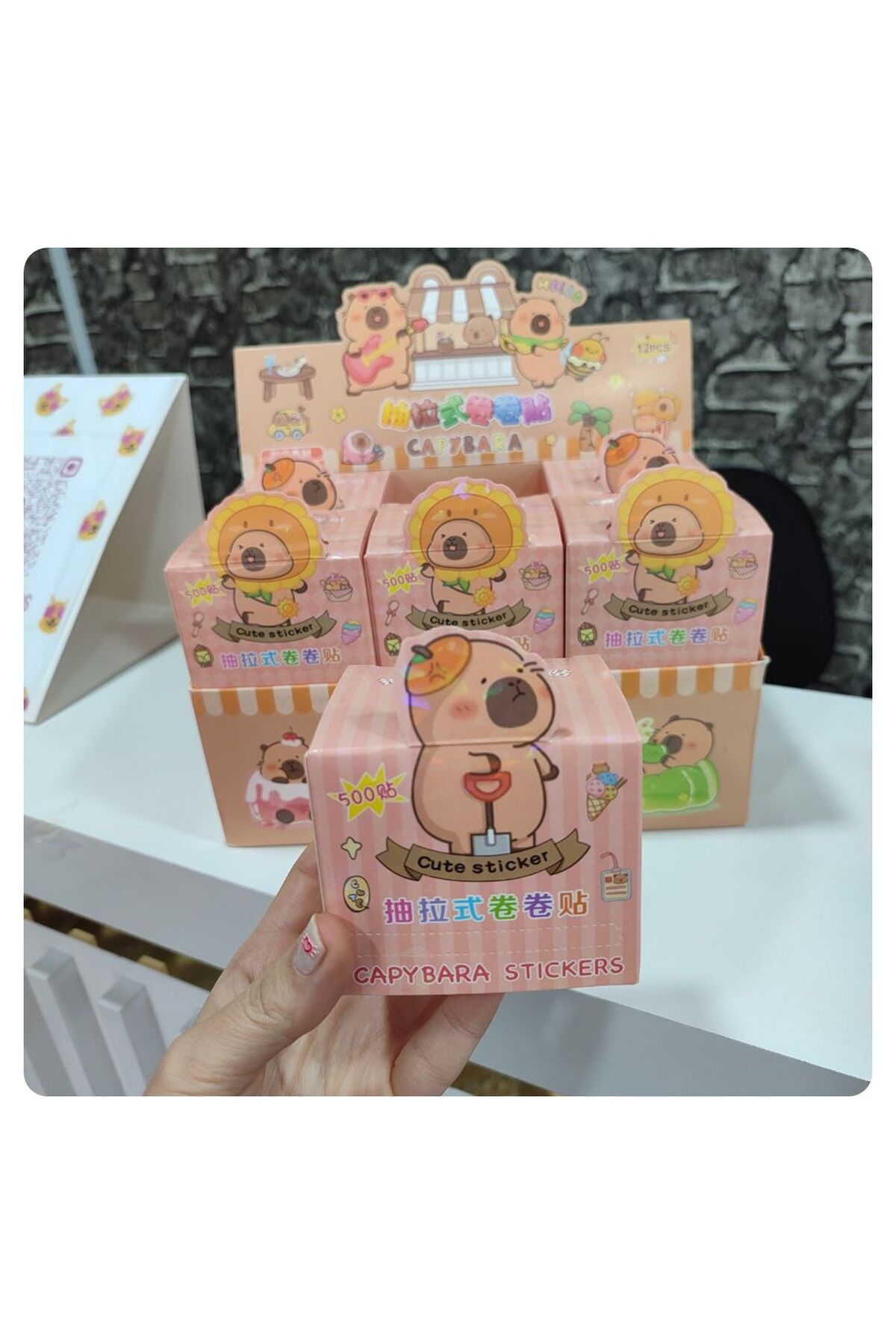 500 Adet Capybara (Kapibara) Kutulu Sticker Seti 1 PAKET