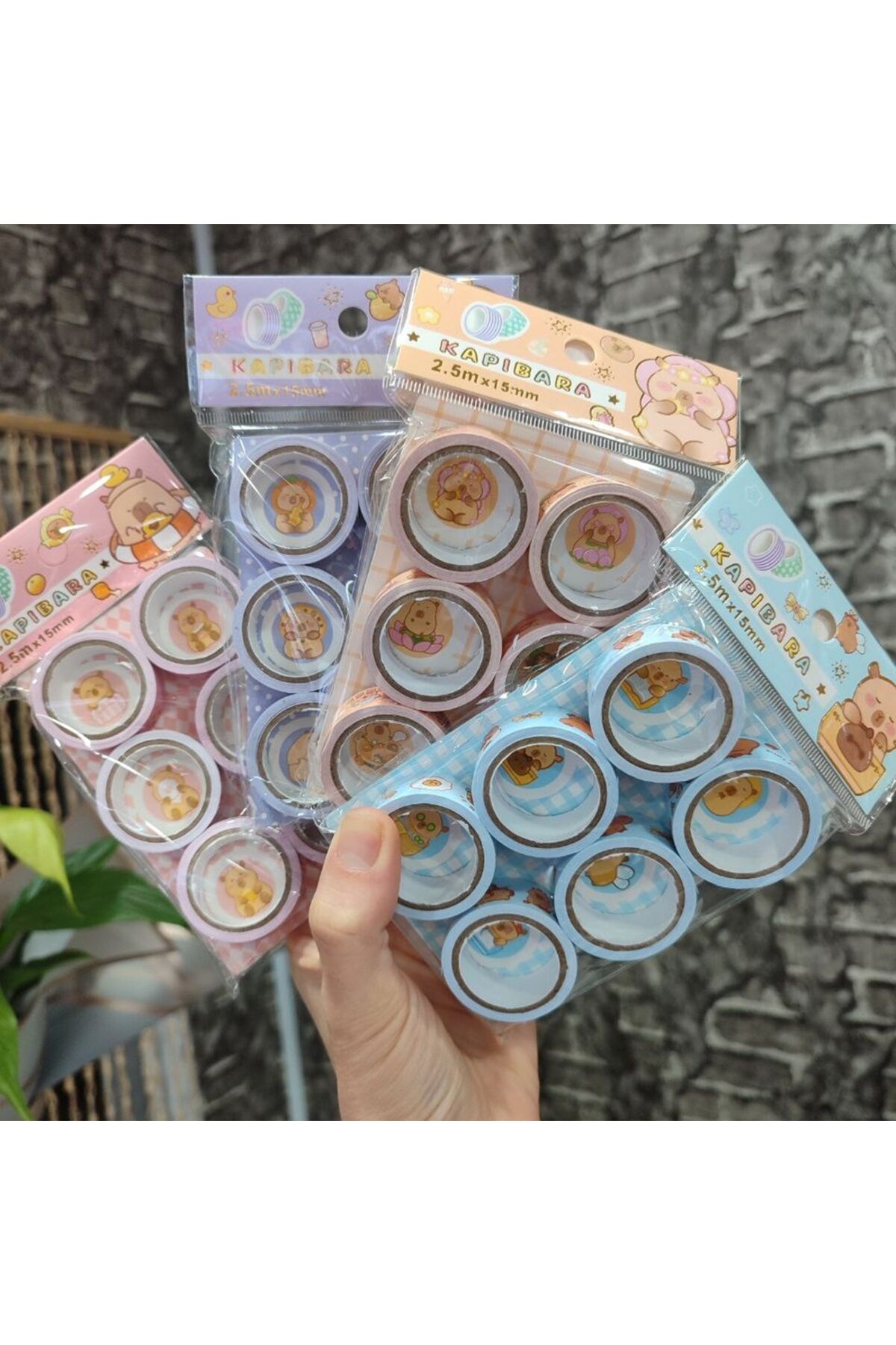 6 lı SET Capybara (Kapibara) Bant Sticker Seti 1 PAKET