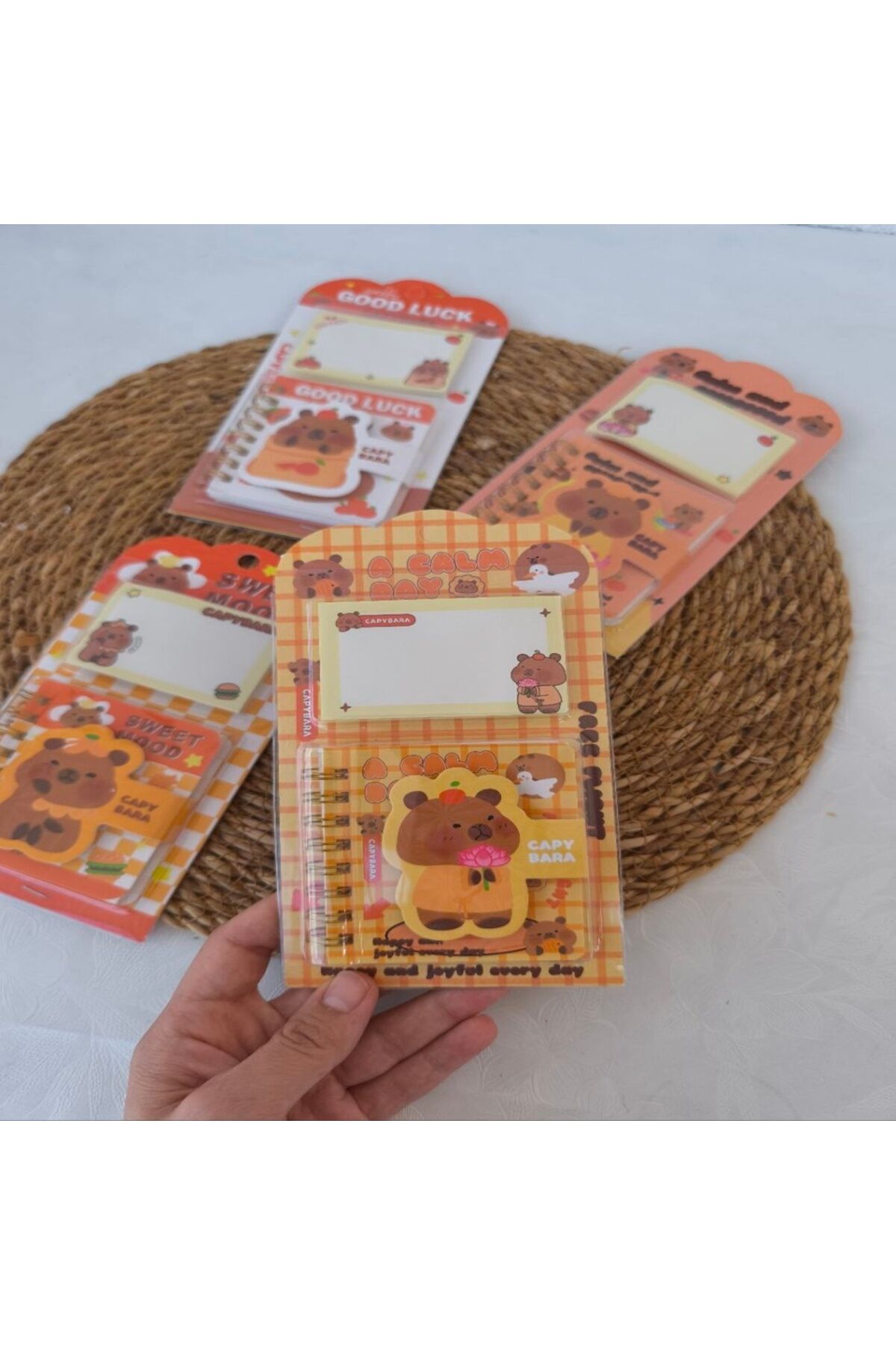 Capybara (Kapibara) Not Defteri ve Post it Seti 1 ADET
