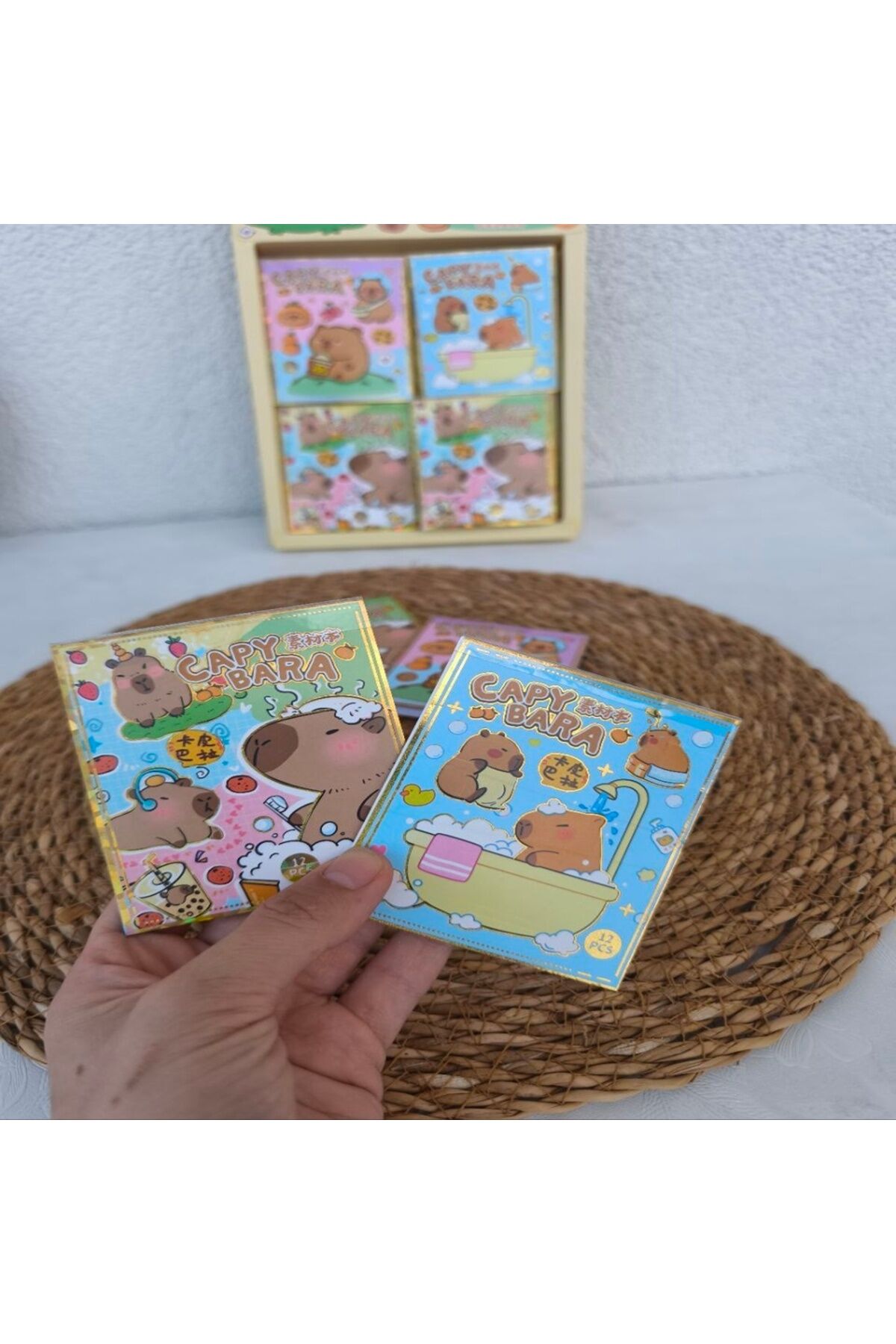 2 ADET CAPYBARA STİCKER KİTABI 12 Sayfa X 2